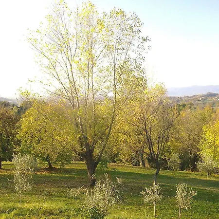 Agriturismo La Giassara *