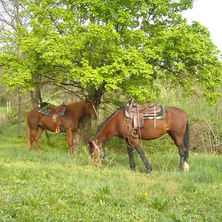 Agriturismo La Giassara * Fara Vicentino